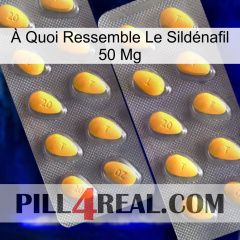 À Quoi Ressemble Le Sildénafil 50 Mg cialis2